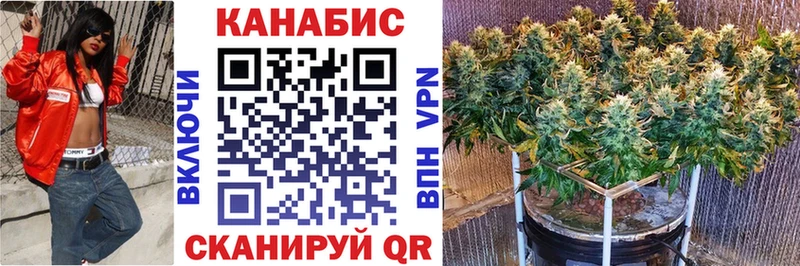 Конопля OG Kush  Купить  Юрьев-Польский 